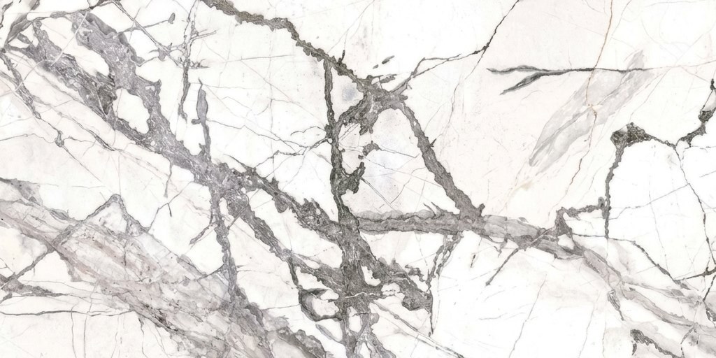 Tortora Carrara