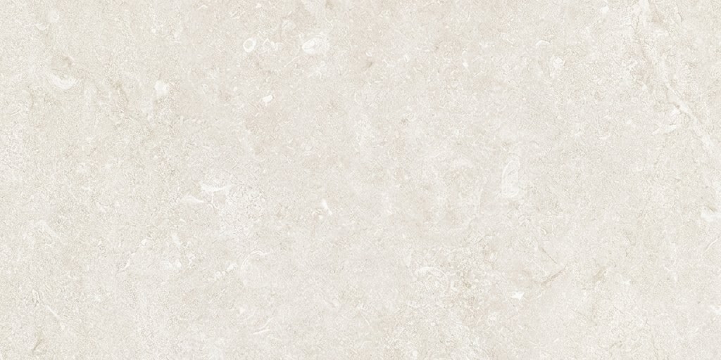 Tortora Maestoso